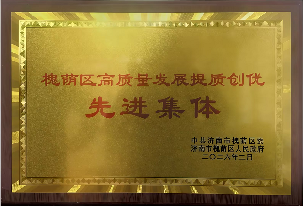 喜报！市政管网公司荣获“槐荫区高质量发展提质创优先进集体”